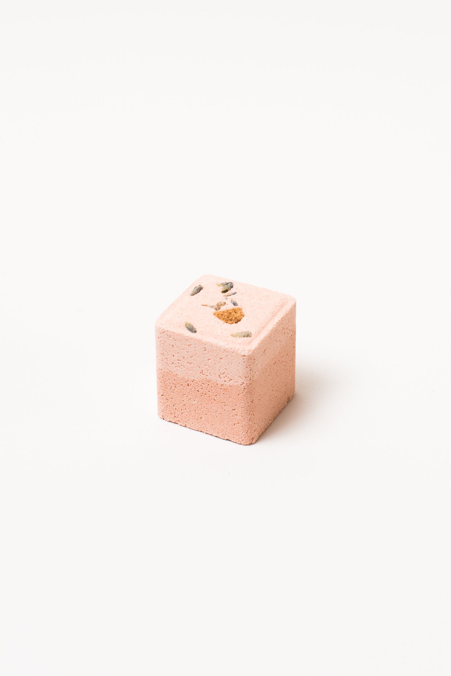 Fizzy - Jaipur