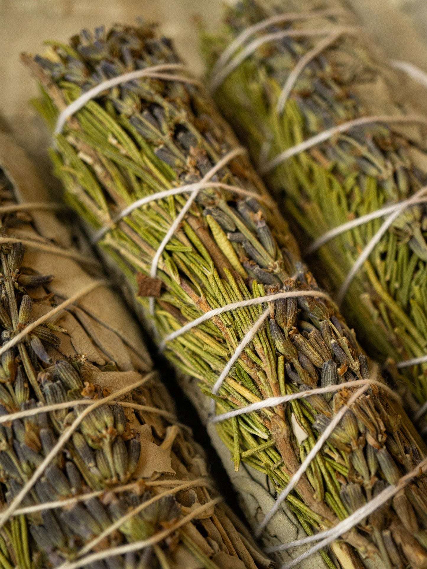 Herb Garden Bundle