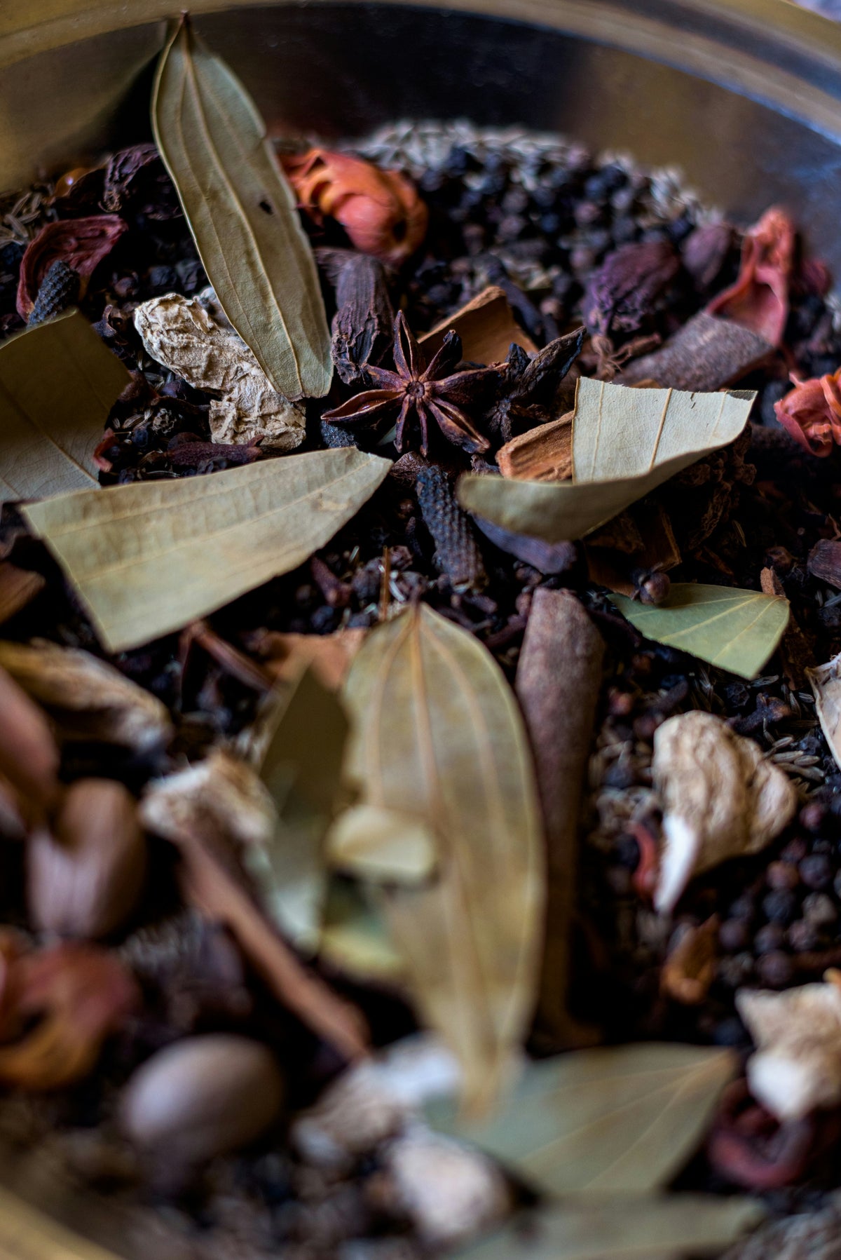 04 Diffuser: Fall - Winter